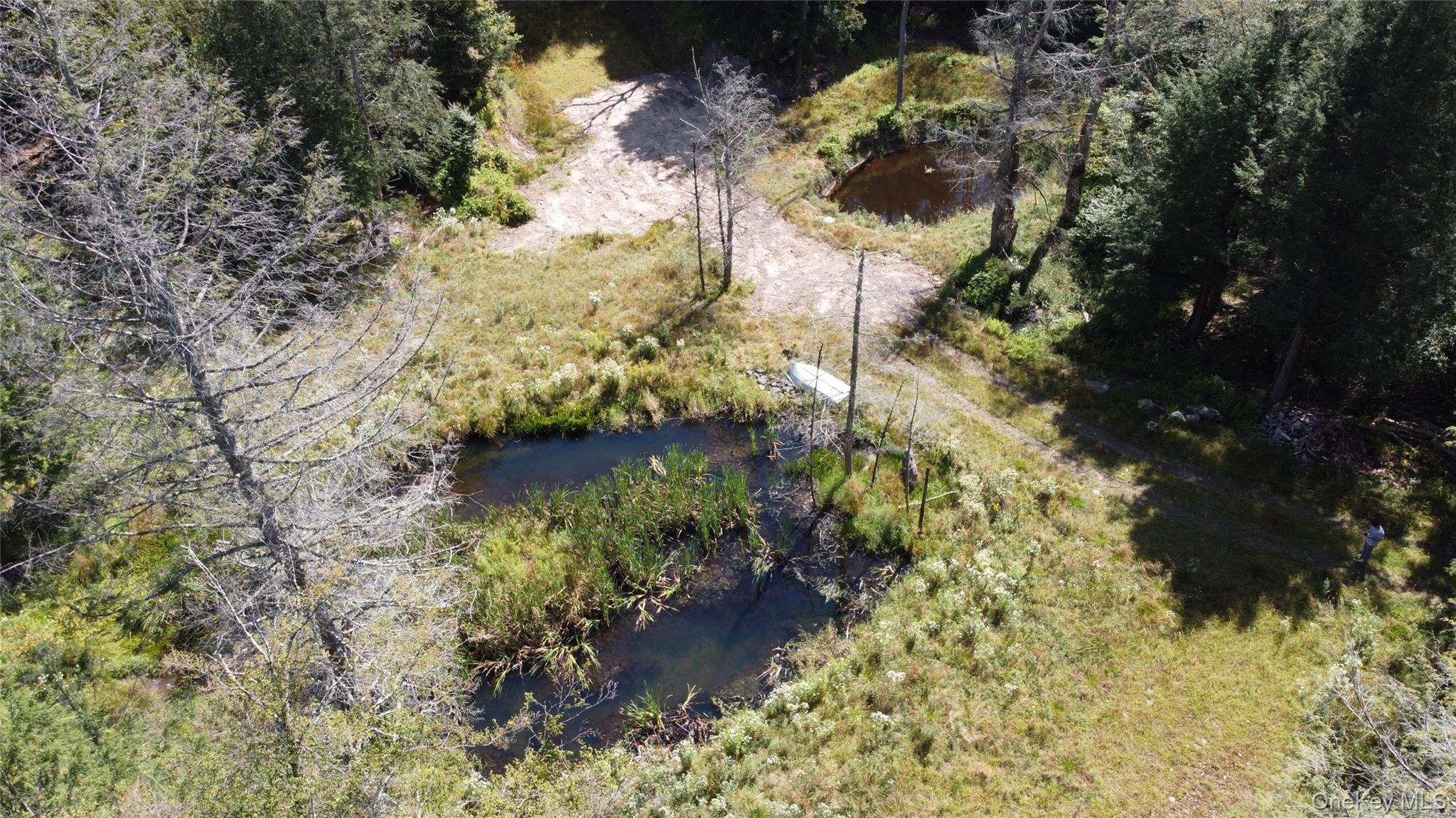 226 Goff Road # 24, Livingston Manor, NY 12758