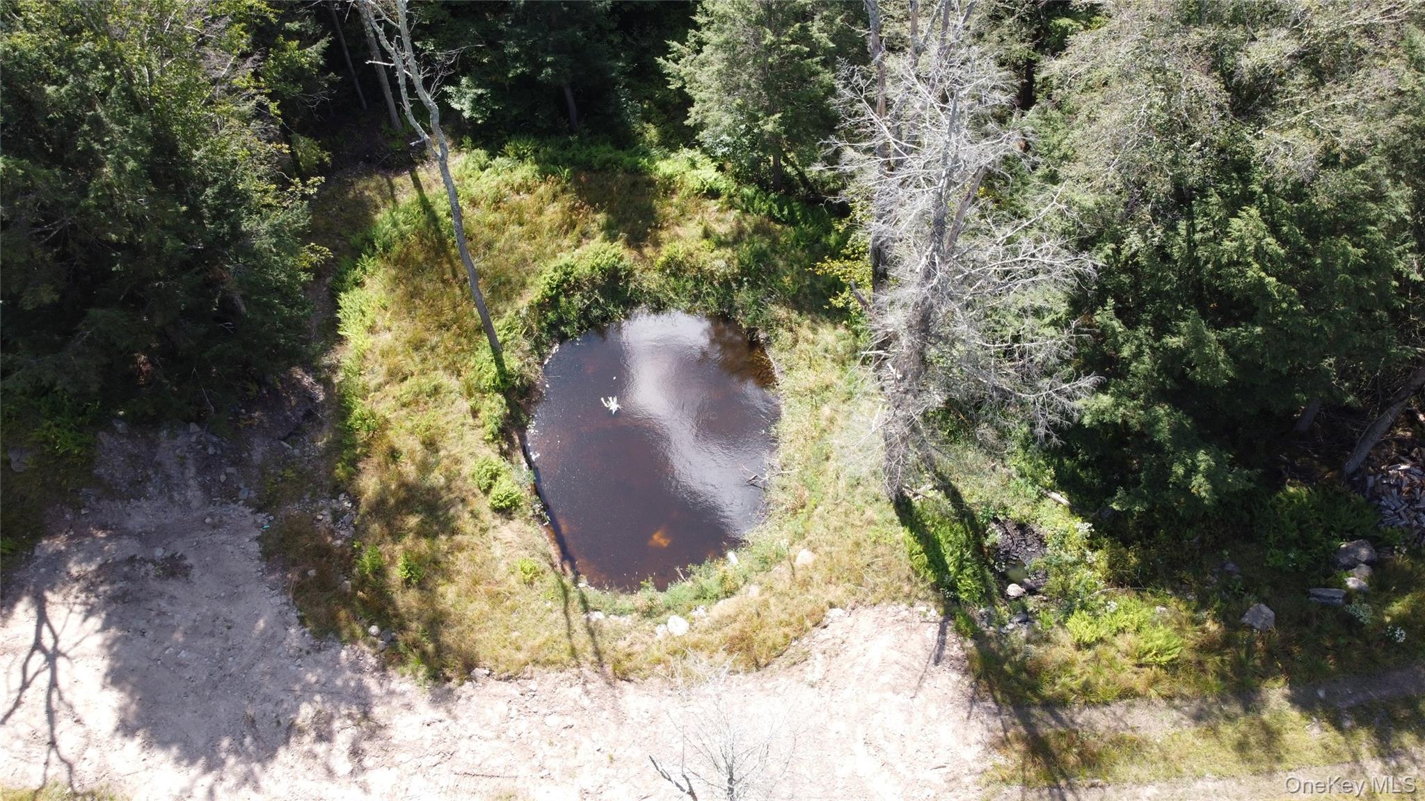 226 Goff Road # 24, Livingston Manor, NY 12758