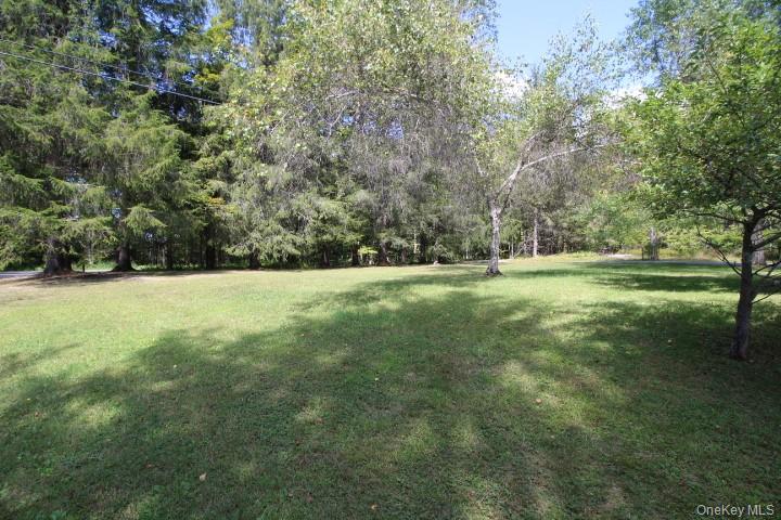 226 Goff Road # 24, Livingston Manor, NY 12758