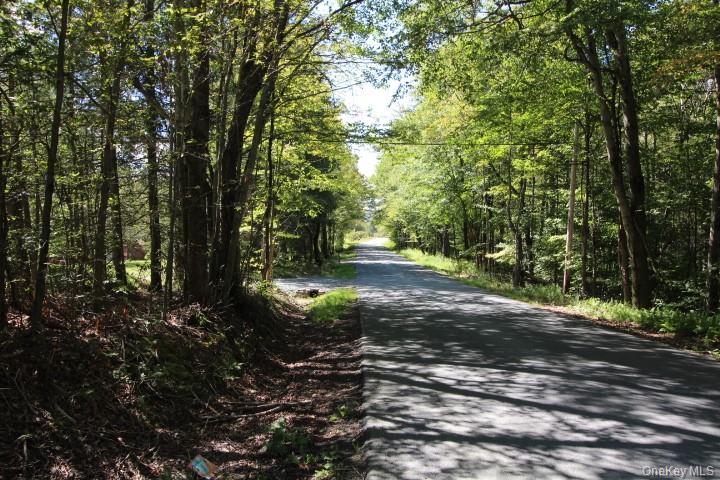 226 Goff Road # 24, Livingston Manor, NY 12758