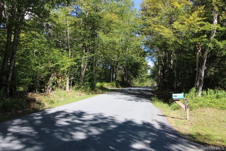 226 Goff Road # 24, Livingston Manor, NY 12758