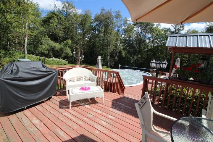 226 Goff Road # 24, Livingston Manor, NY 12758
