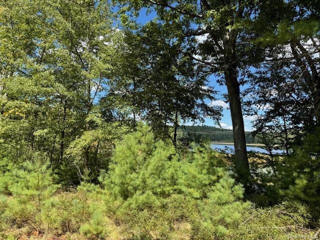 469 White Road, Glen Spey, NY 12737