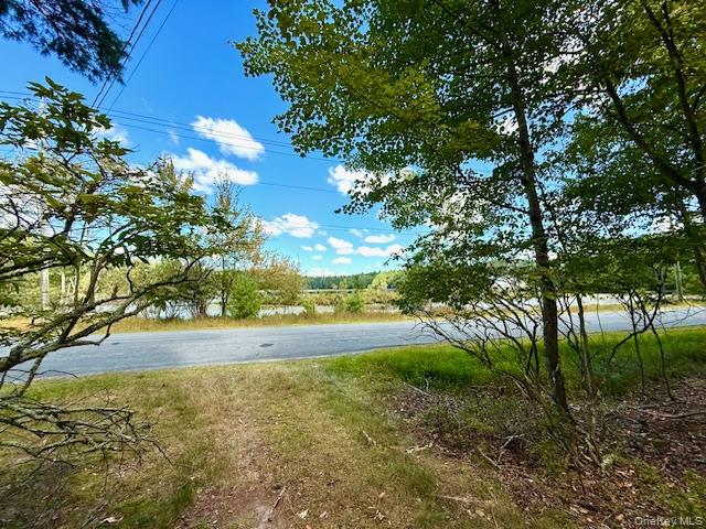 469 White Road, Glen Spey, NY 12737