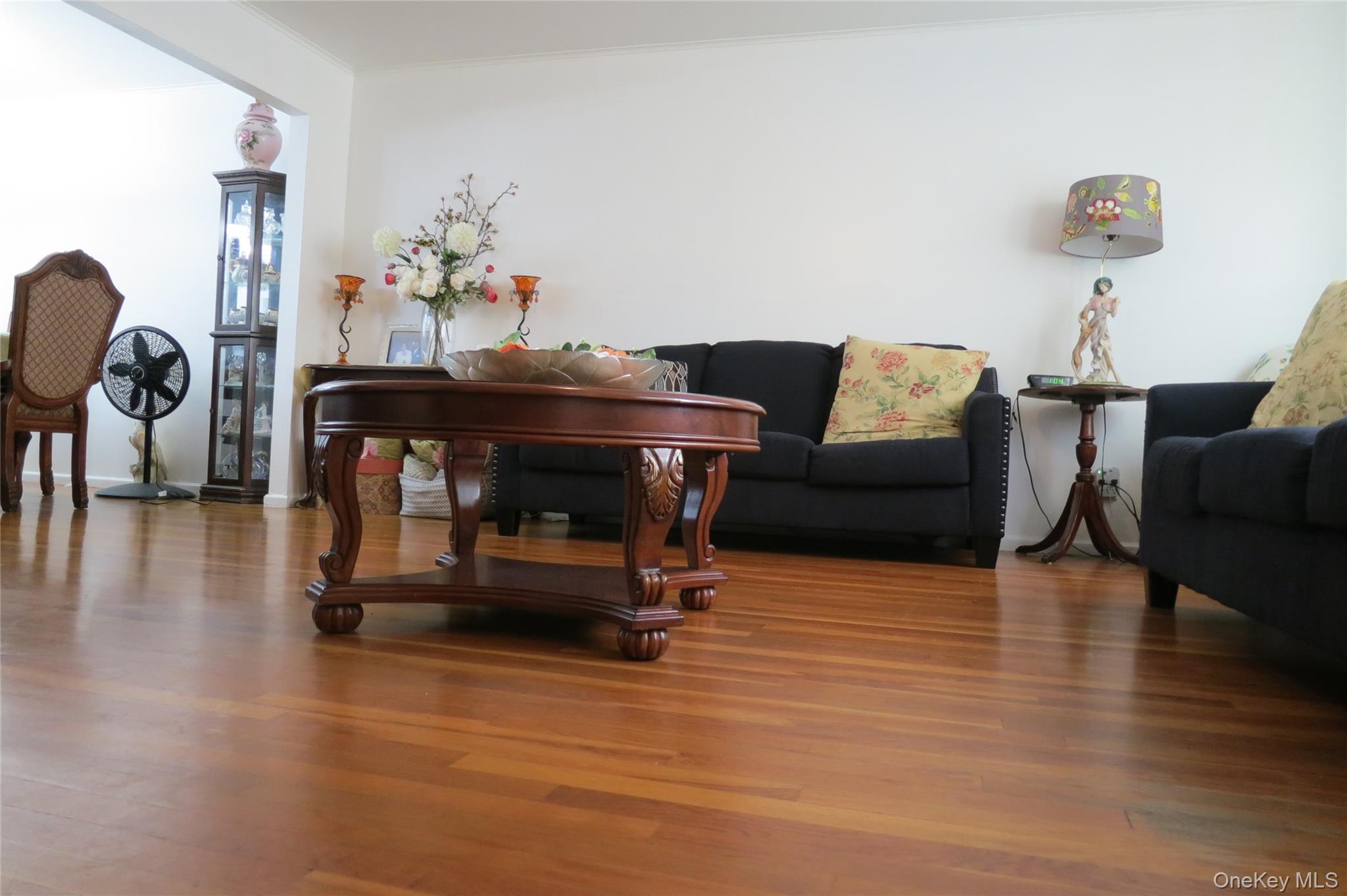 1550 Debra Place, Valley Stream, NY 11580