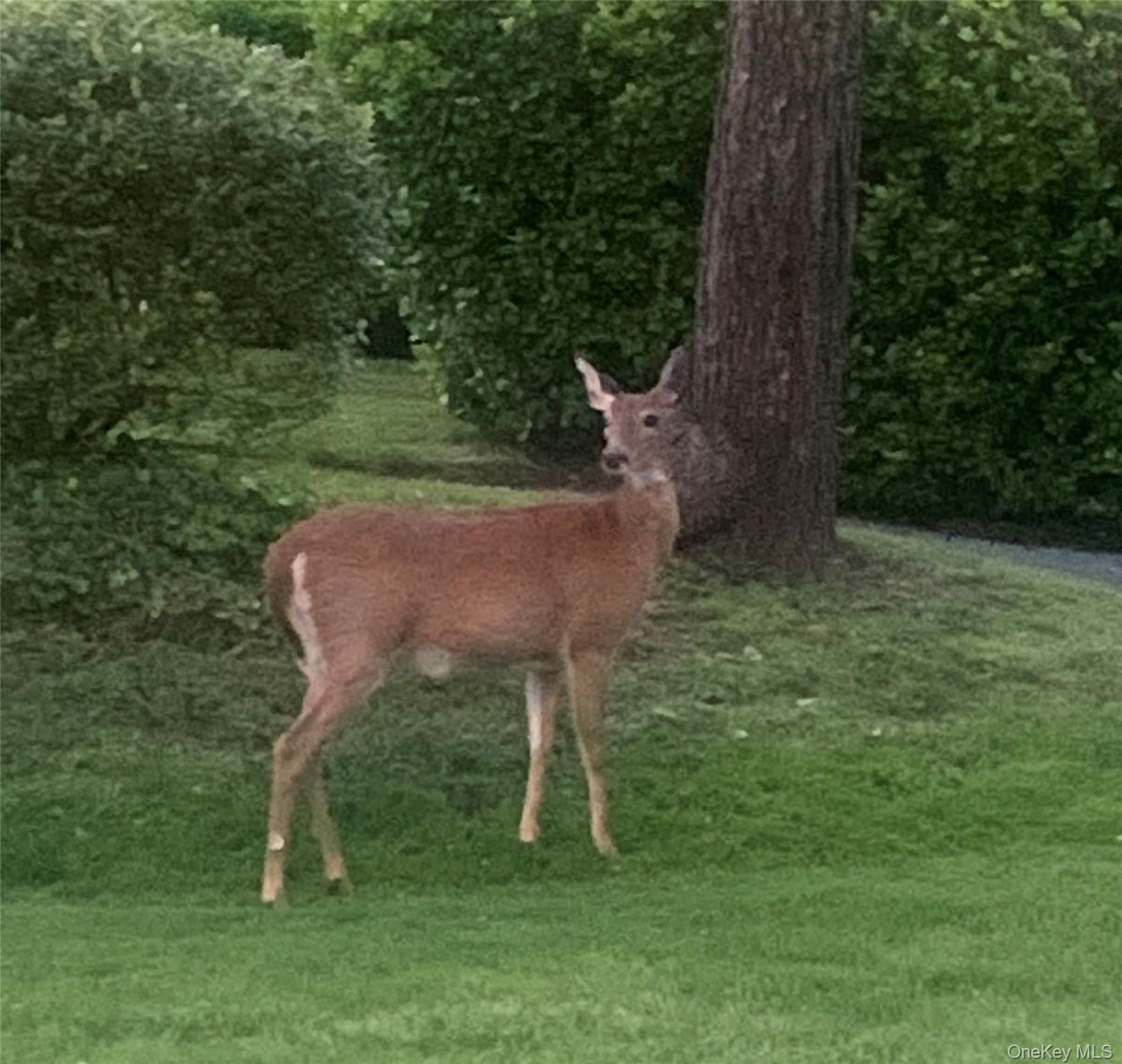 37 Harbor Lane # 2A, New Rochelle, NY 10805