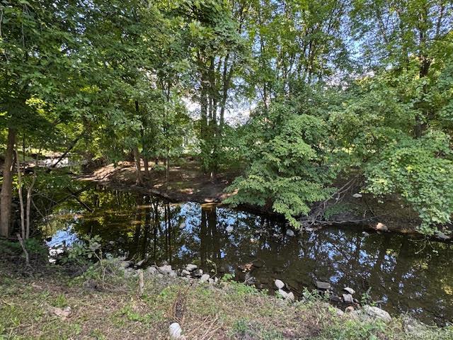 38 E Main Street # 1, Walden, NY 12586