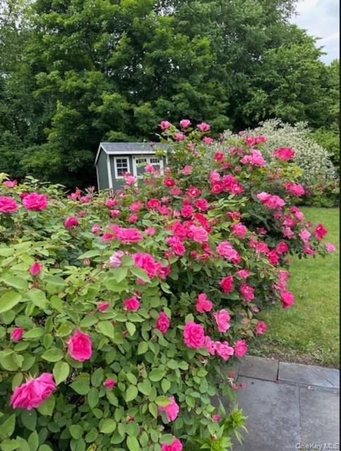 9 Beadart Place, Hyde Park, NY 12538