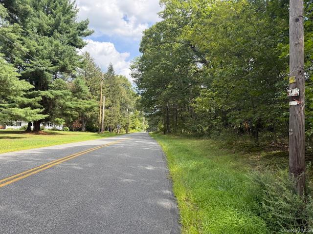 LOT 1 Shoddy Hollow Road, Otisville, NY