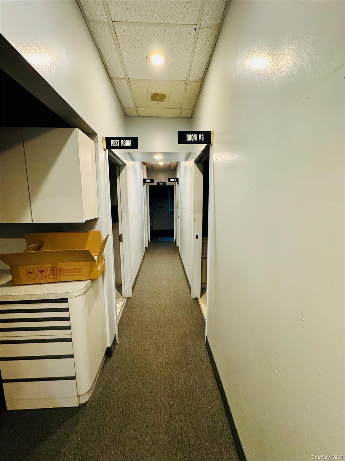 205-13 Hollis Avenue, Hollis, NY 11412