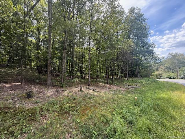 LOT 2 Shoddy Hollow Road, Otisville, NY 10963