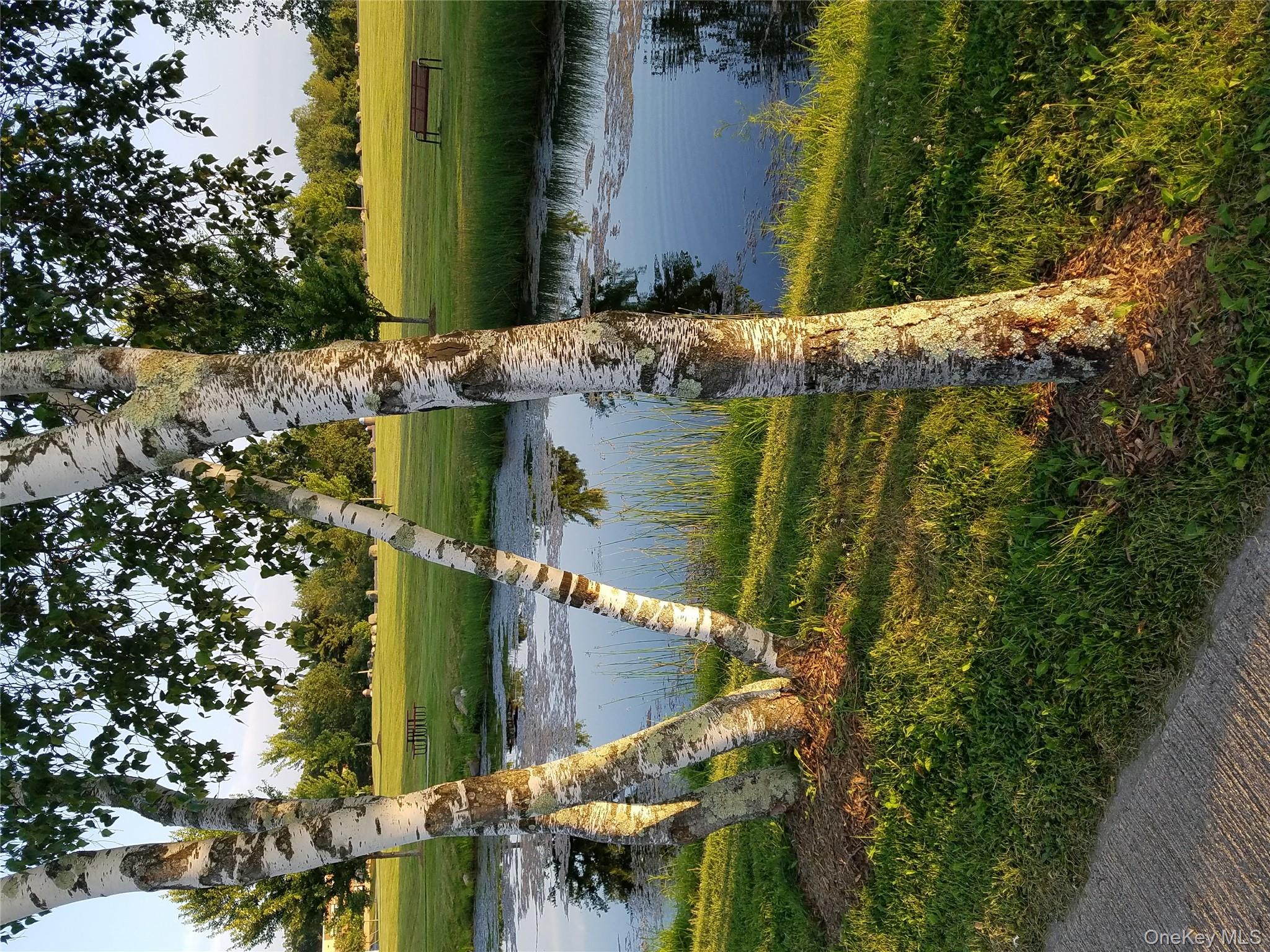 LOT 2 Shoddy Hollow Road, Otisville, NY 10963