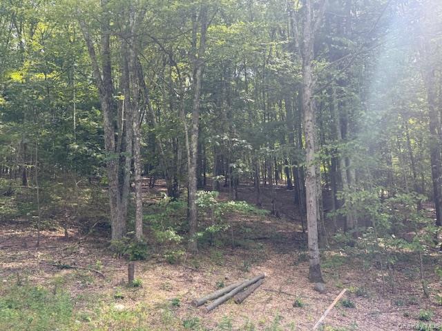 LOT 3 Shoddy Hollow Road, Otisville, NY 10963