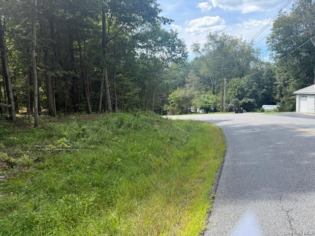 LOT 3 Shoddy Hollow Road, Otisville, NY 10963