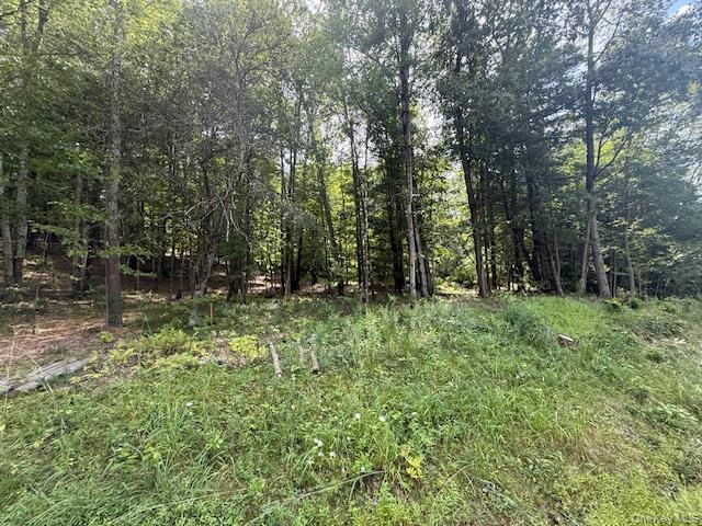 LOT 3 Shoddy Hollow Road, Otisville, NY 10963