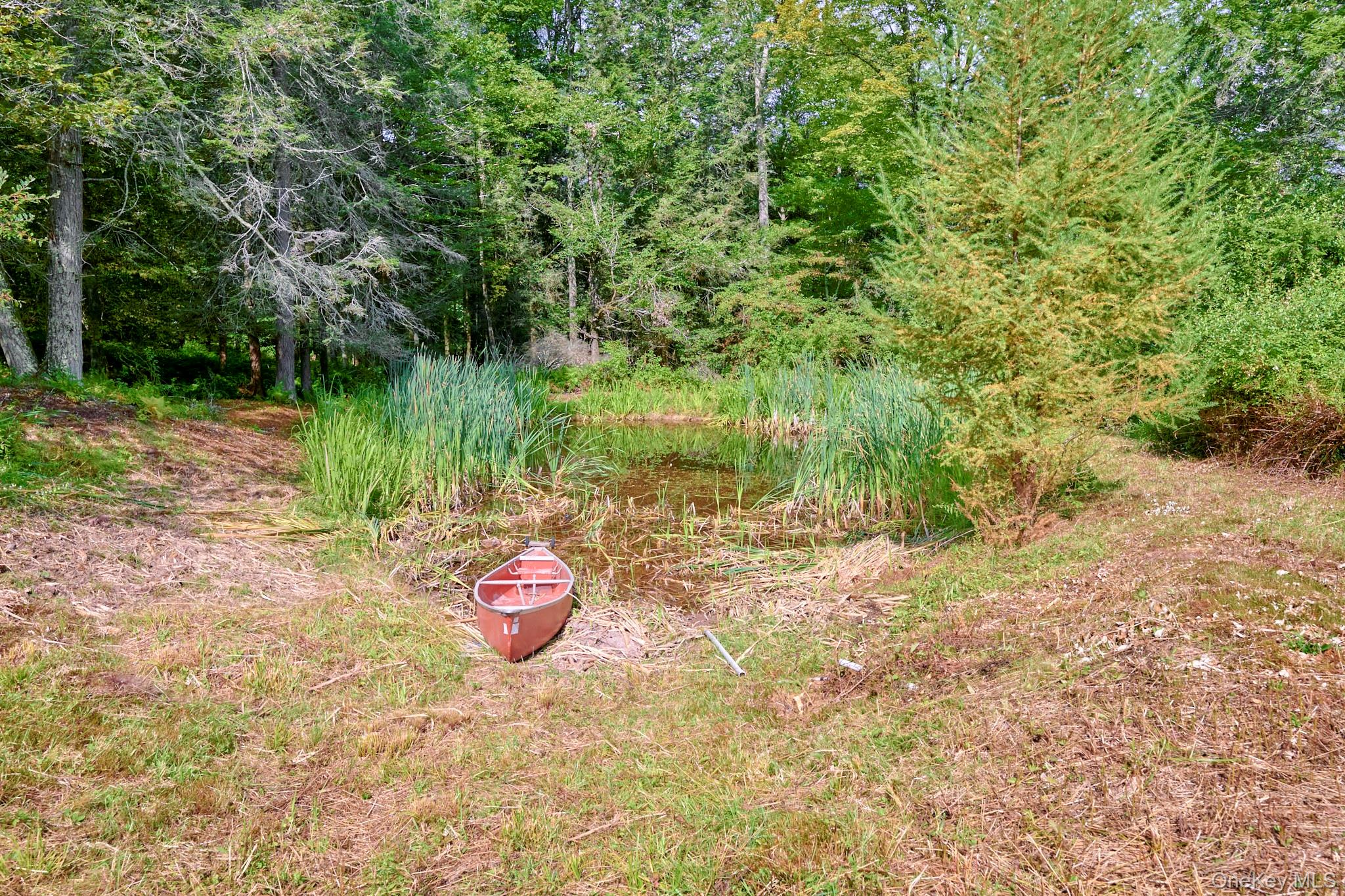 10 W Simmon, Callicoon, NY 12736