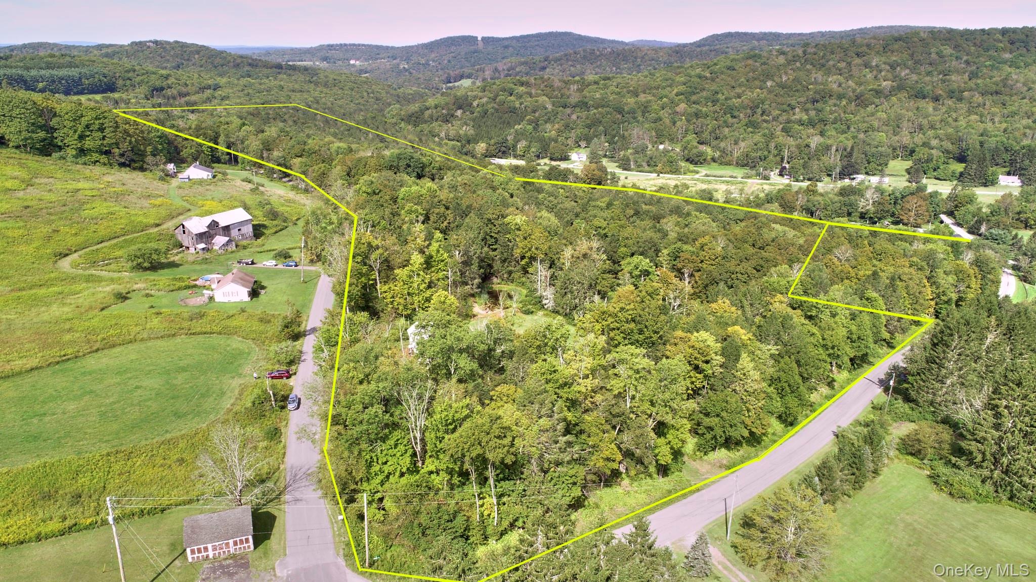 10 W Simmon, Callicoon, NY 12736