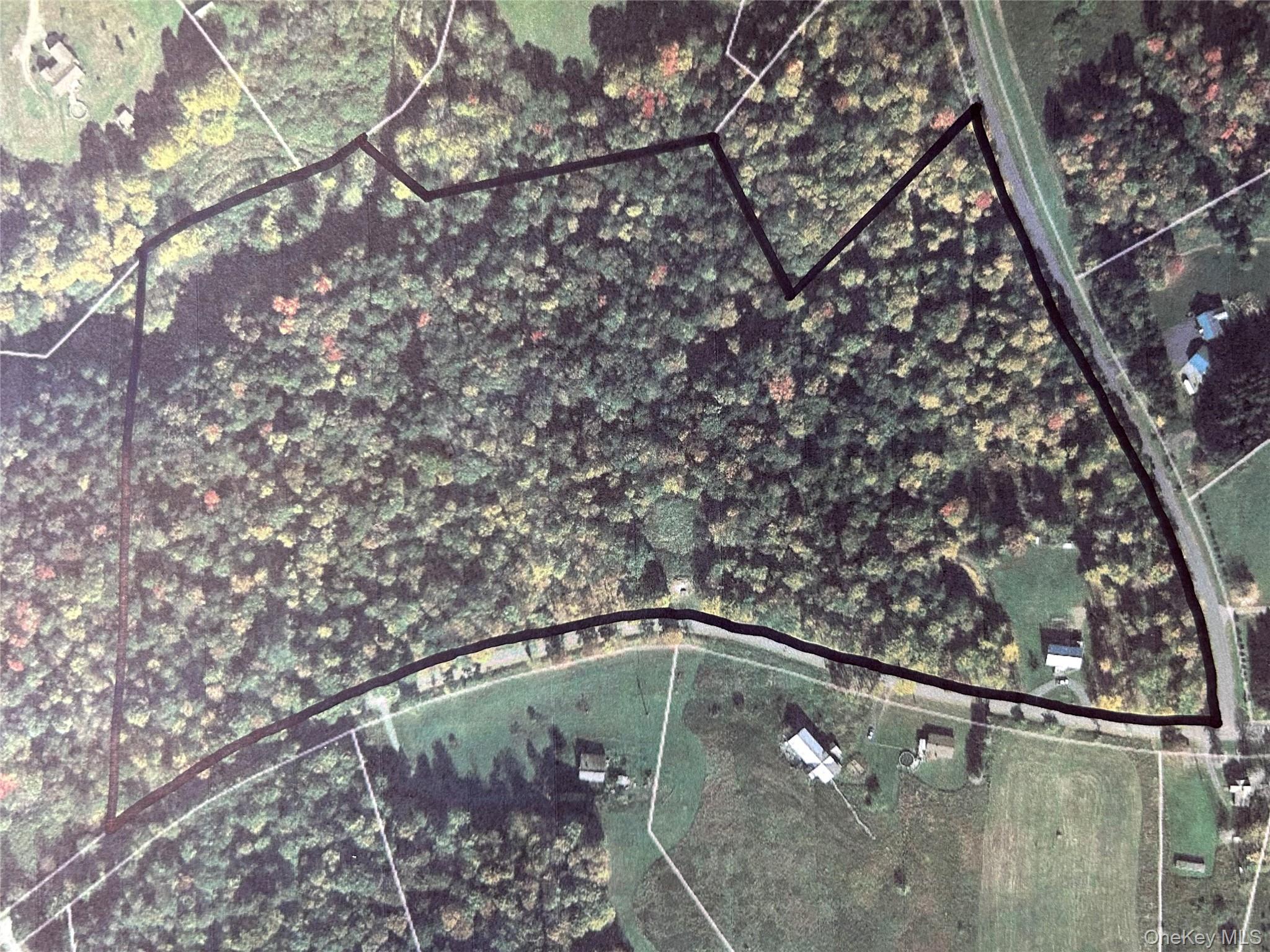 10 W Simmon, Callicoon, NY 12736