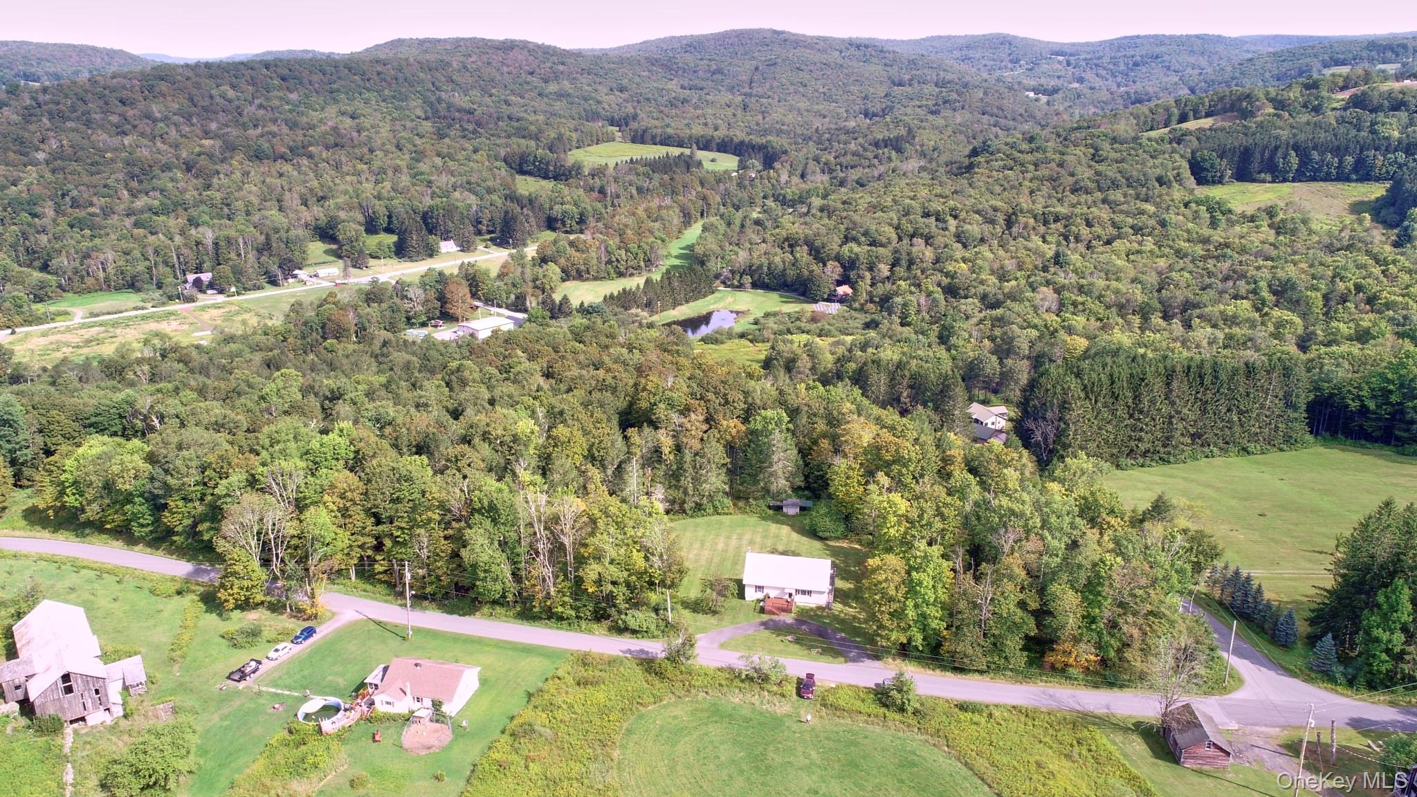 10 W Simmon, Callicoon, NY 12736