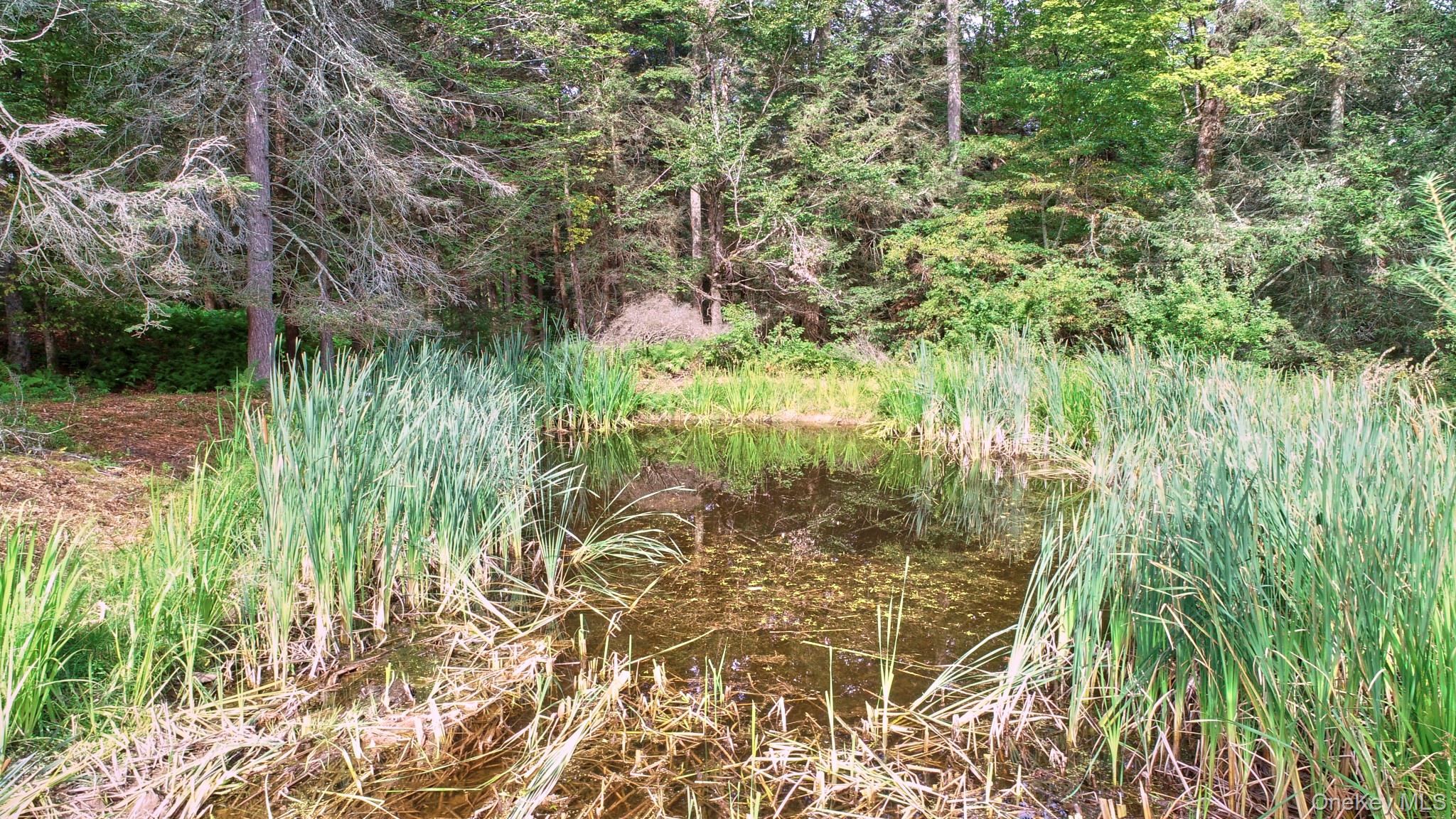 10 W Simmon, Callicoon, NY 12736