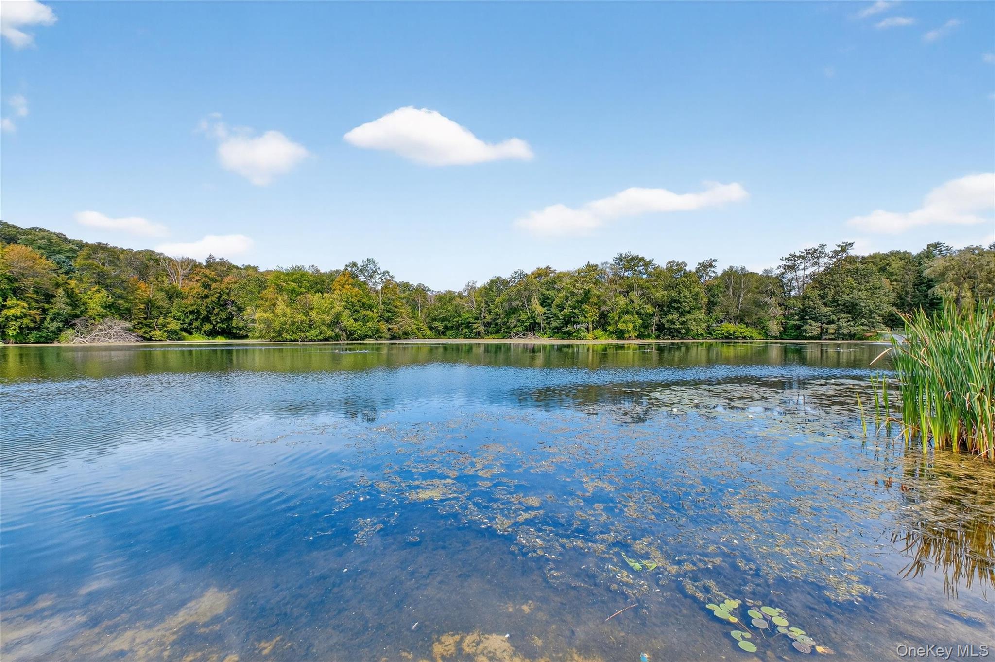 6 Beech Trail, Carmel, NY 10512