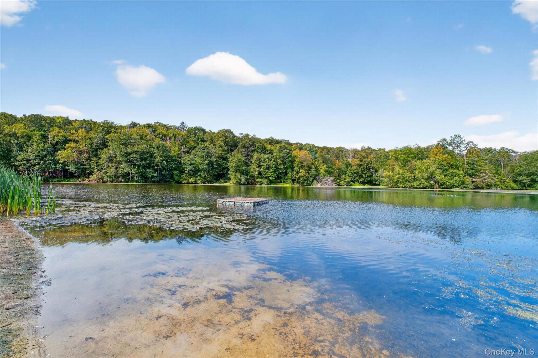 6 Beech Trail, Carmel, NY 10512