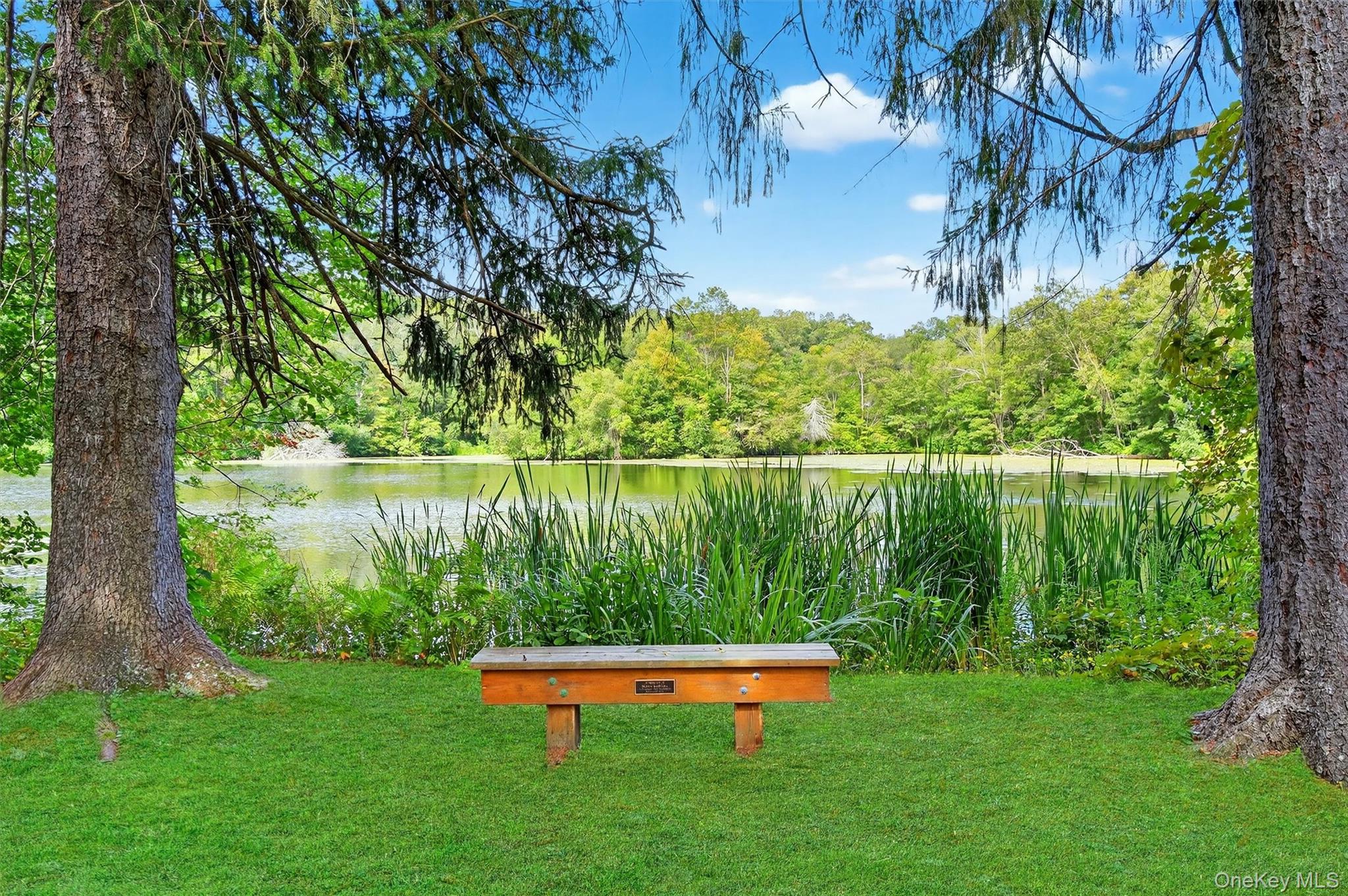 6 Beech Trail, Carmel, NY 10512