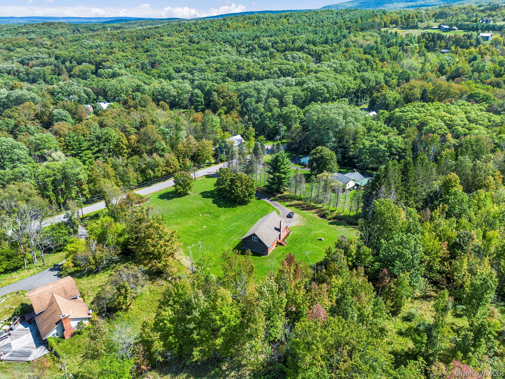 1355 Cornwallville Road, Durham, NY 12418