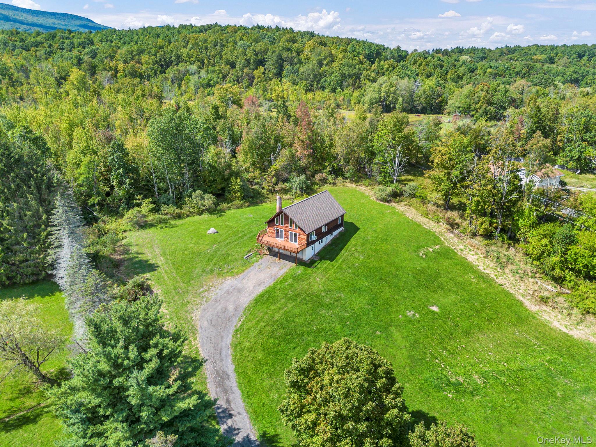 1355 Cornwallville Road, Durham, NY 12418