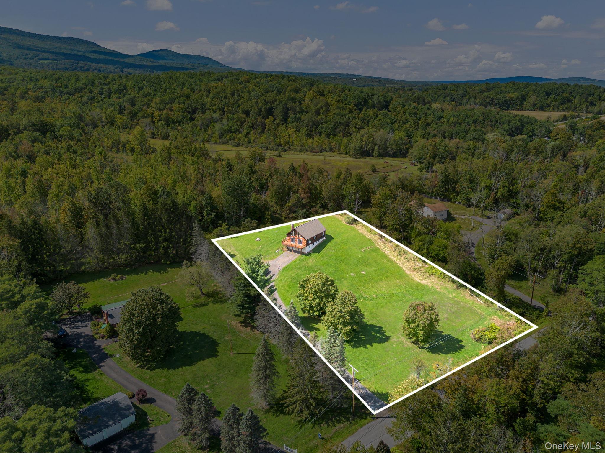 1355 Cornwallville Road, Durham, NY 12418