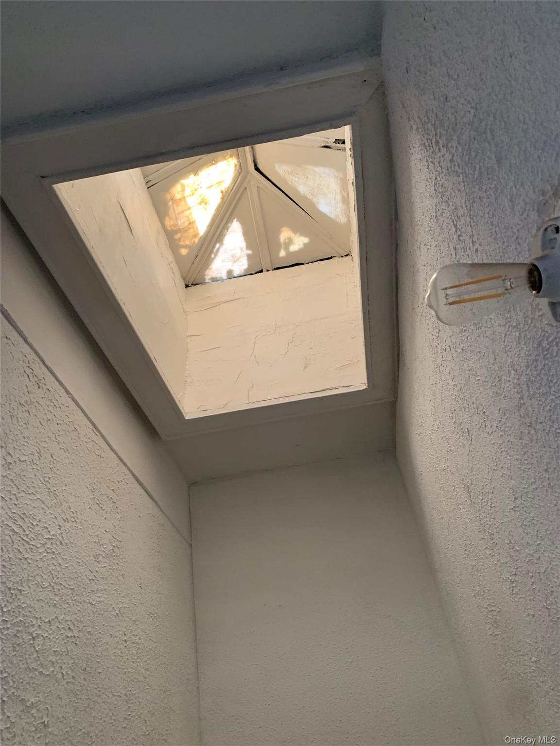 1523 E 33 Street, Brooklyn, NY 11234