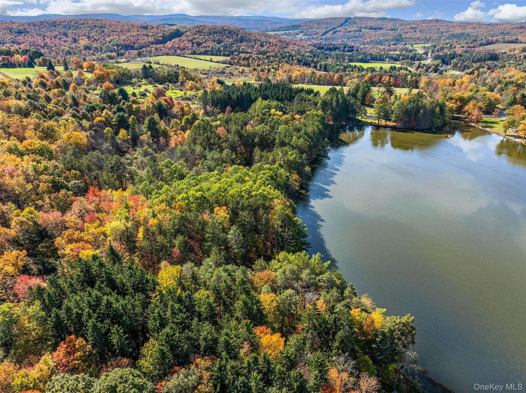 0 Masonville Pond Cummings Road, Call Listing Agent, NY