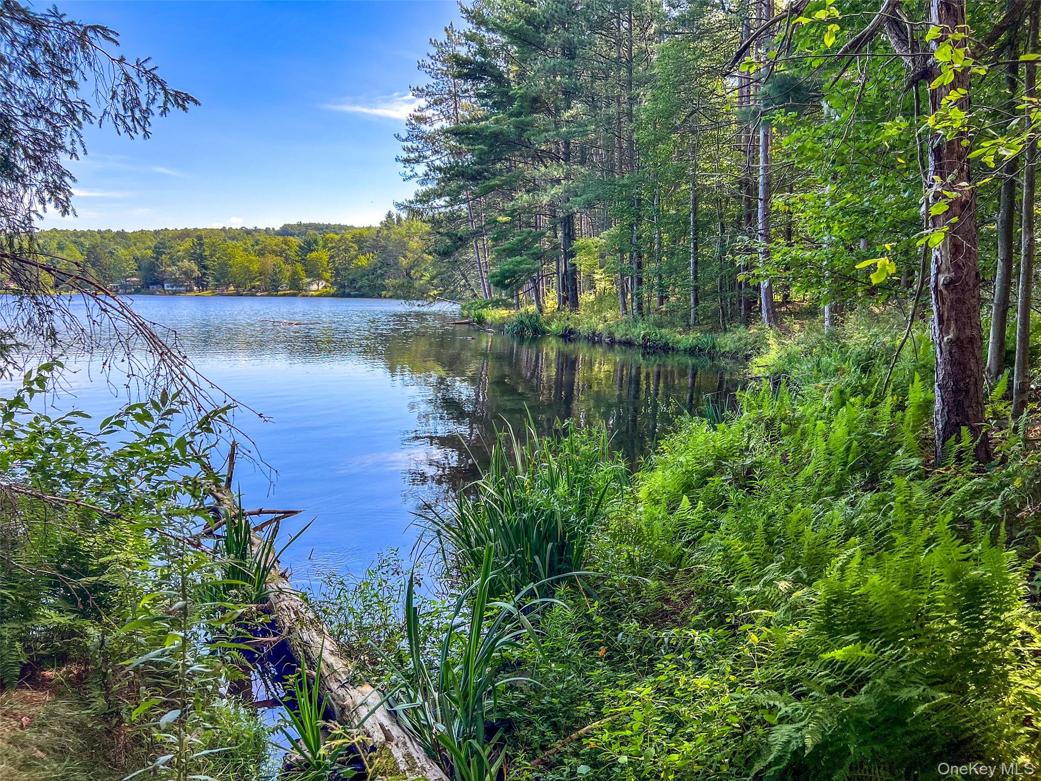 0 Masonville Pond Cummings Road, Call Listing Agent, NY