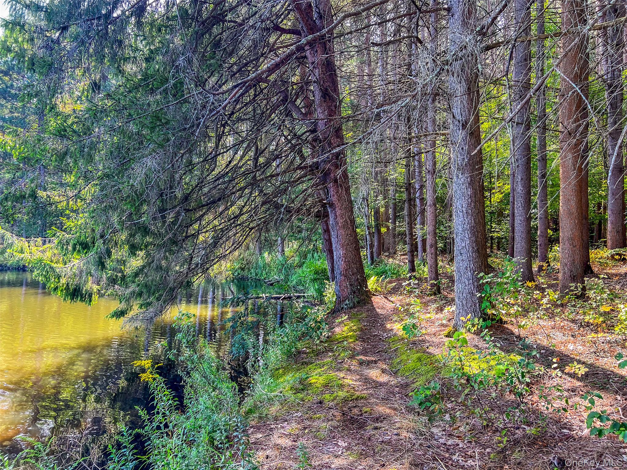 0 Masonville Pond Cummings Road, Call Listing Agent, NY