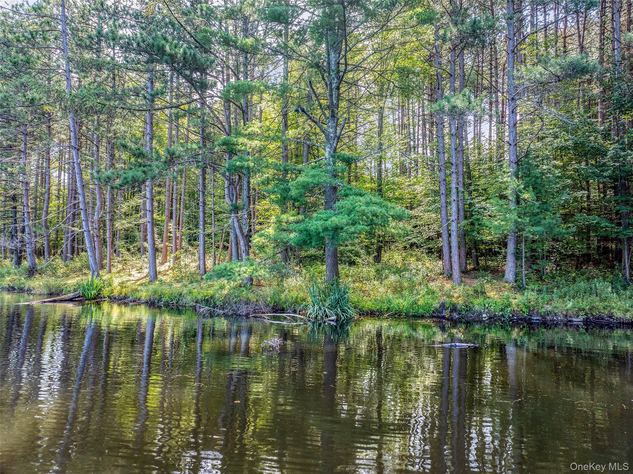 0 Masonville Pond Cummings Road, Call Listing Agent, NY