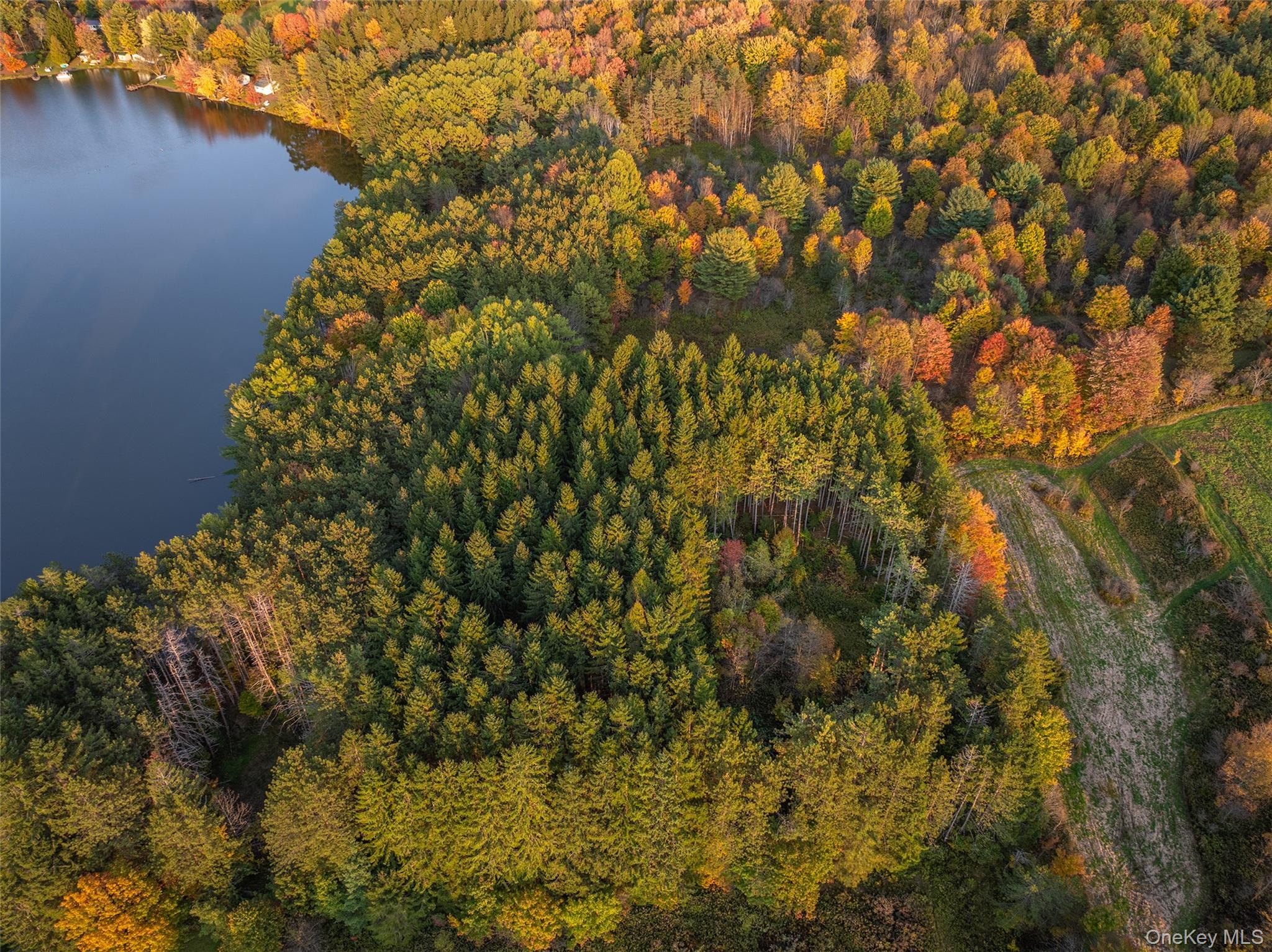 0 Masonville Pond Cummings Road, Call Listing Agent, NY