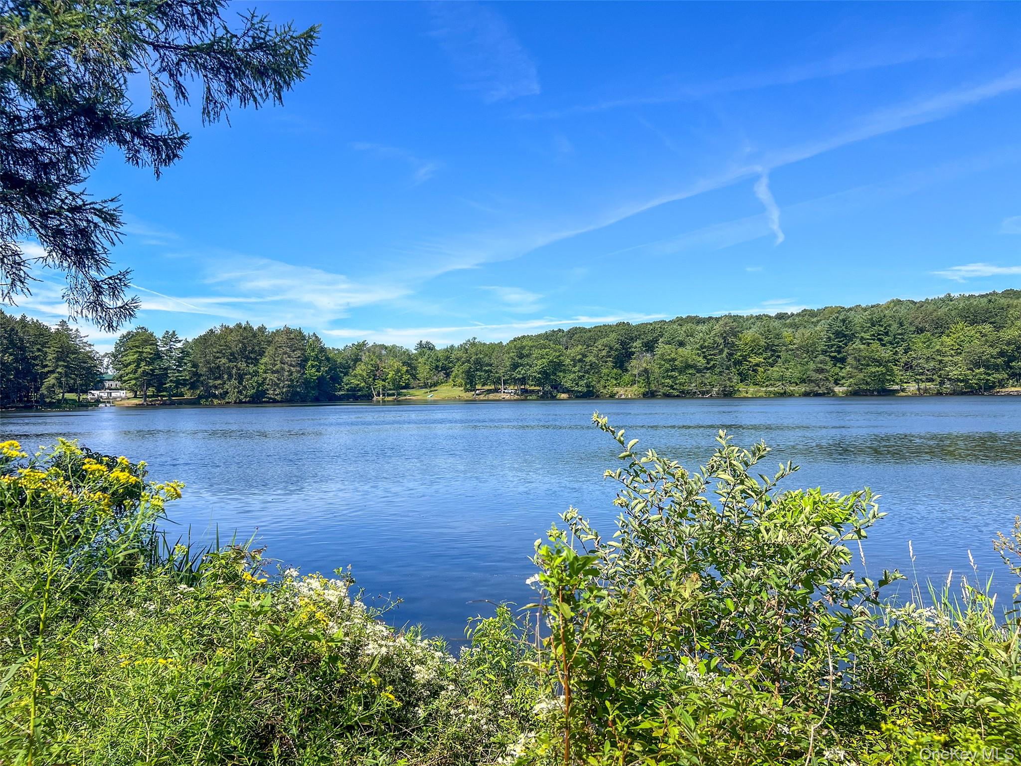 0 Masonville Pond Cummings Road, Call Listing Agent, NY