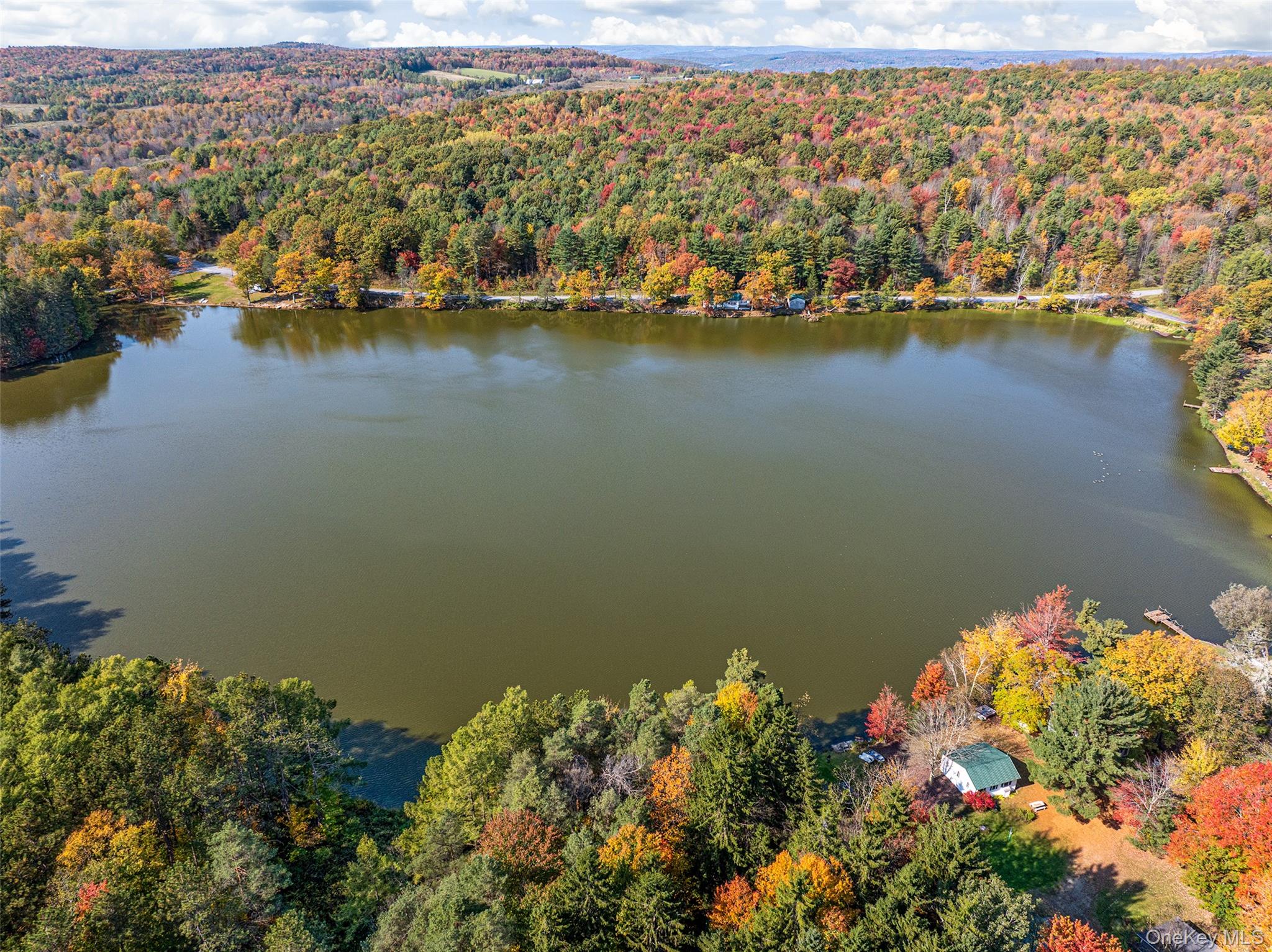 0 Masonville Pond Cummings Road, Call Listing Agent, NY