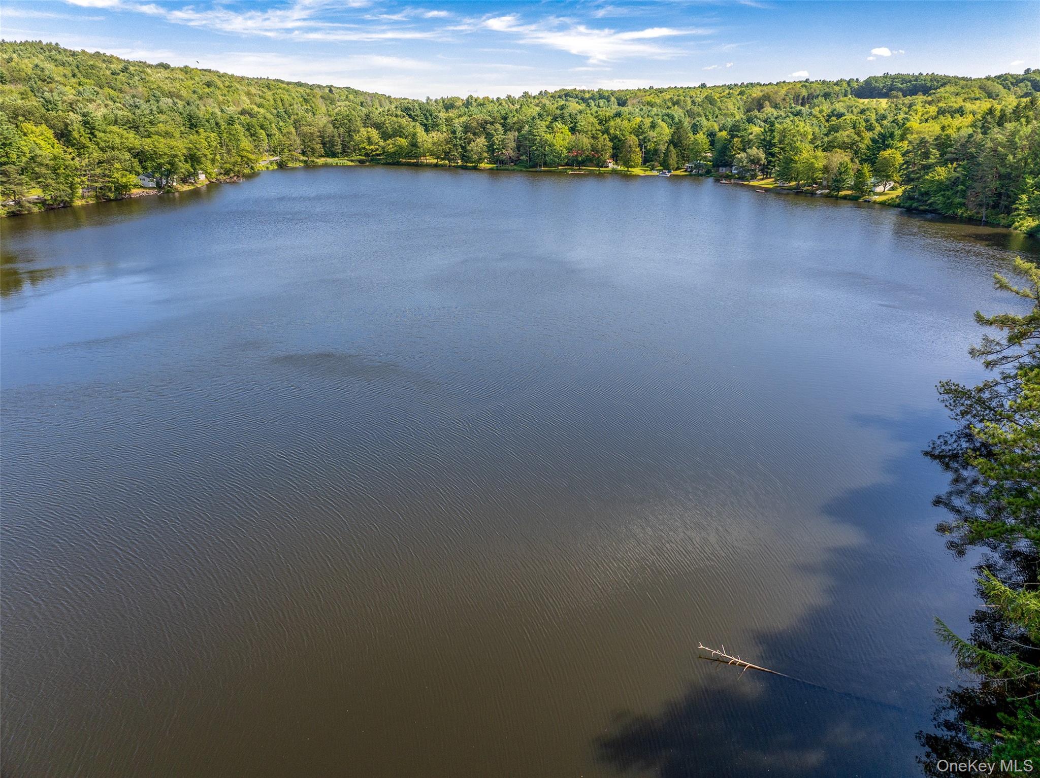 0 Masonville Pond Cummings Road, Call Listing Agent, NY