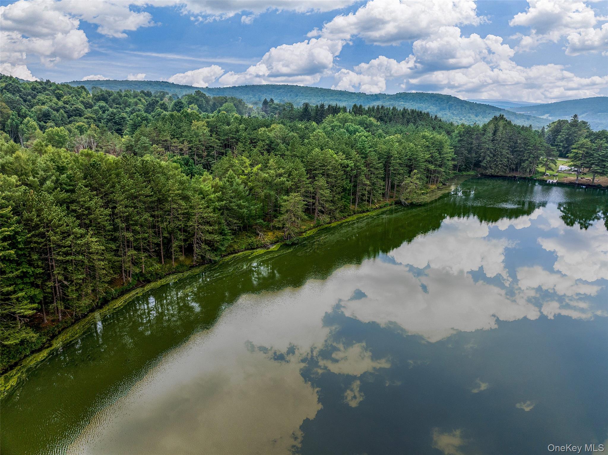 0 Masonville Pond Cummings Road, Call Listing Agent, NY