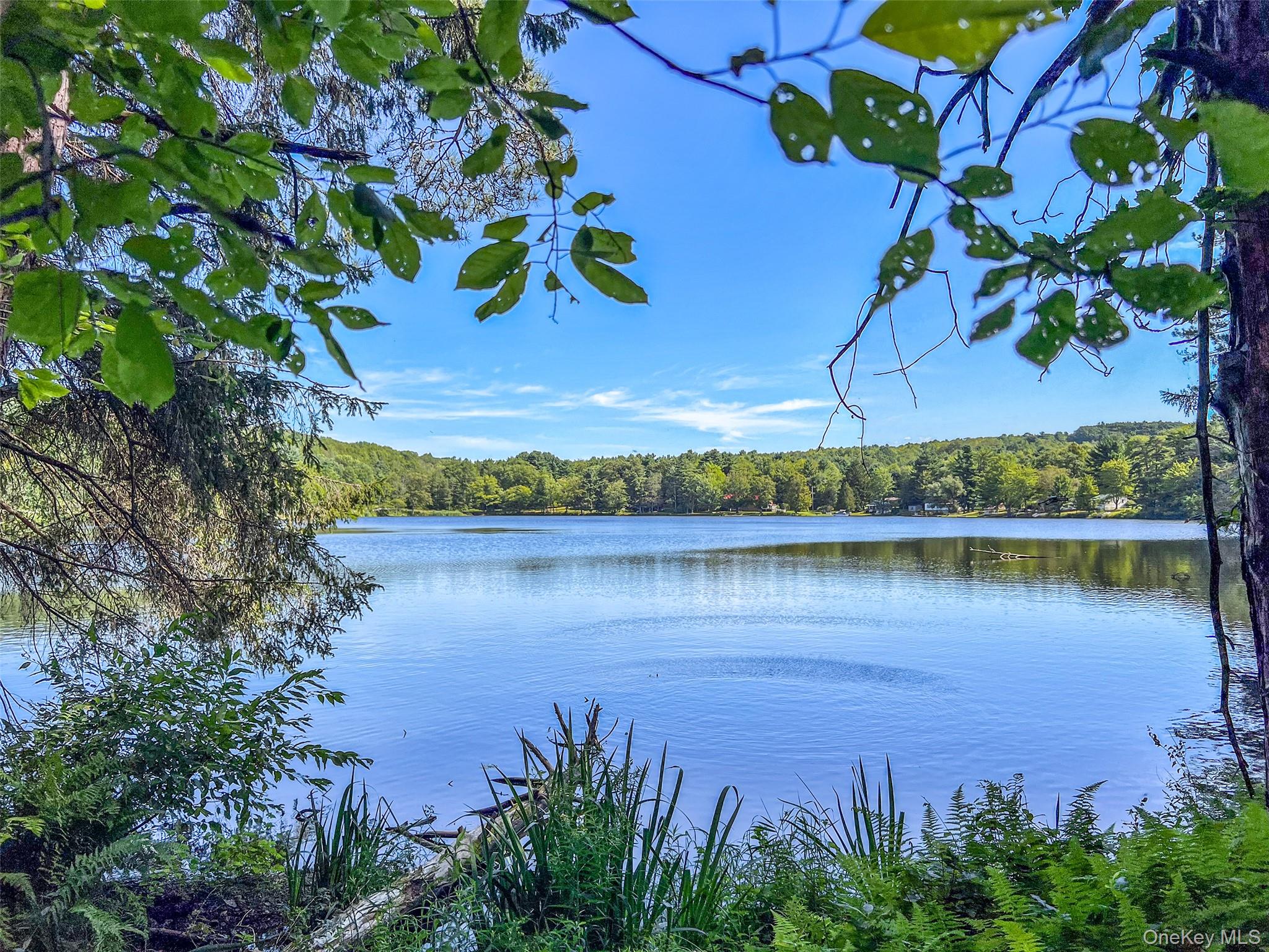 0 Masonville Pond Cummings Road, Call Listing Agent, NY