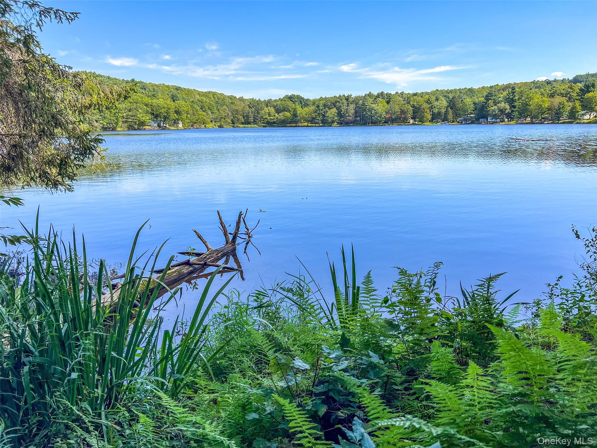 0 Masonville Pond Cummings Road, Call Listing Agent, NY