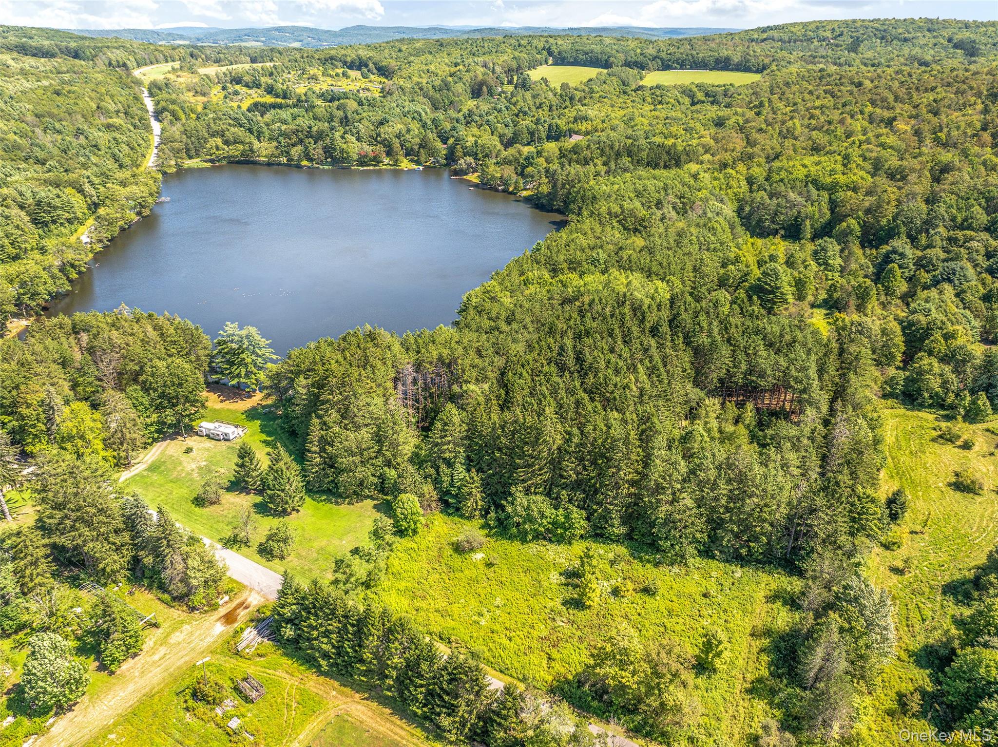 0 Masonville Pond Cummings Road, Call Listing Agent, NY