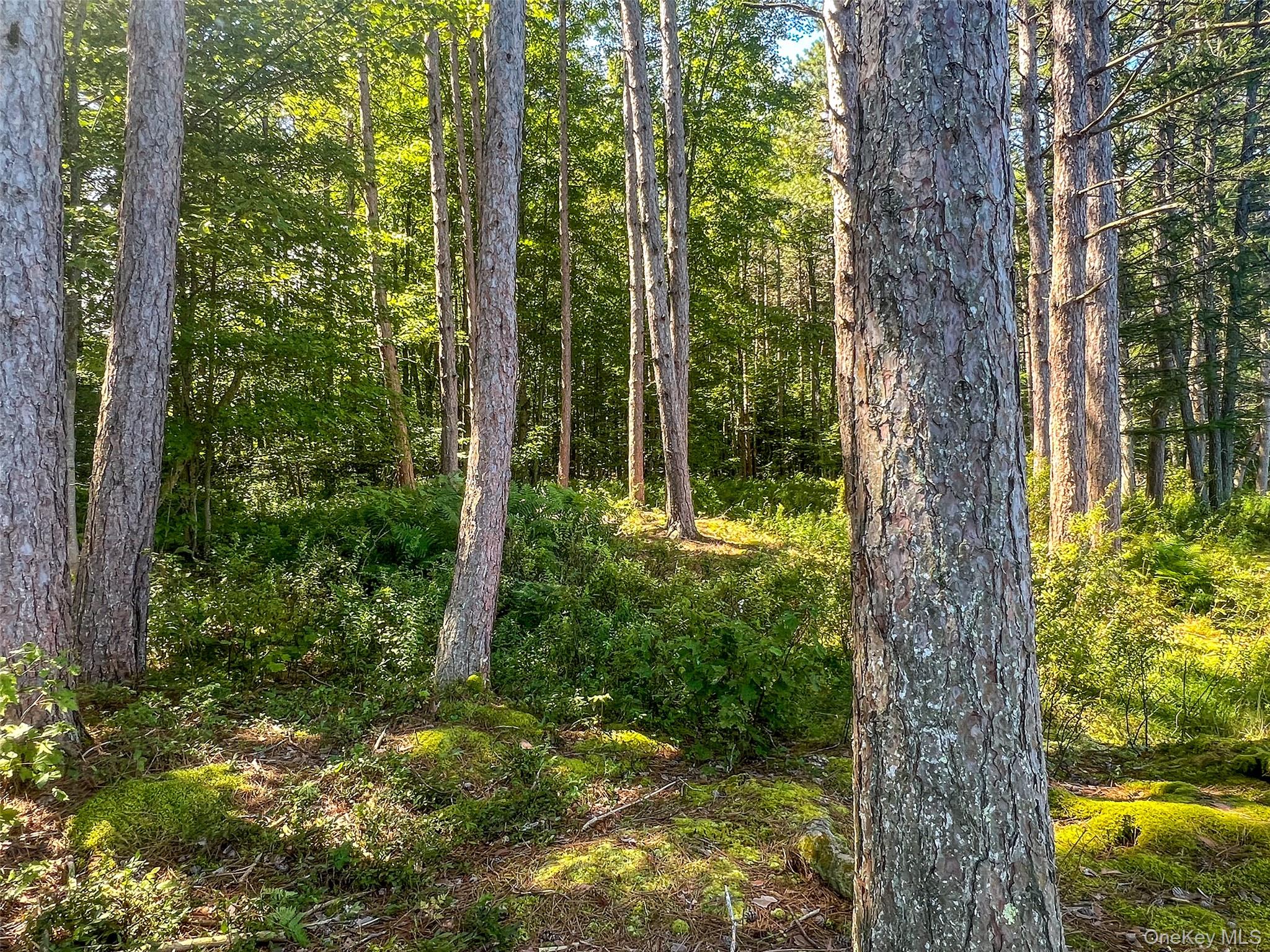 0 Masonville Pond Cummings Road, Call Listing Agent, NY