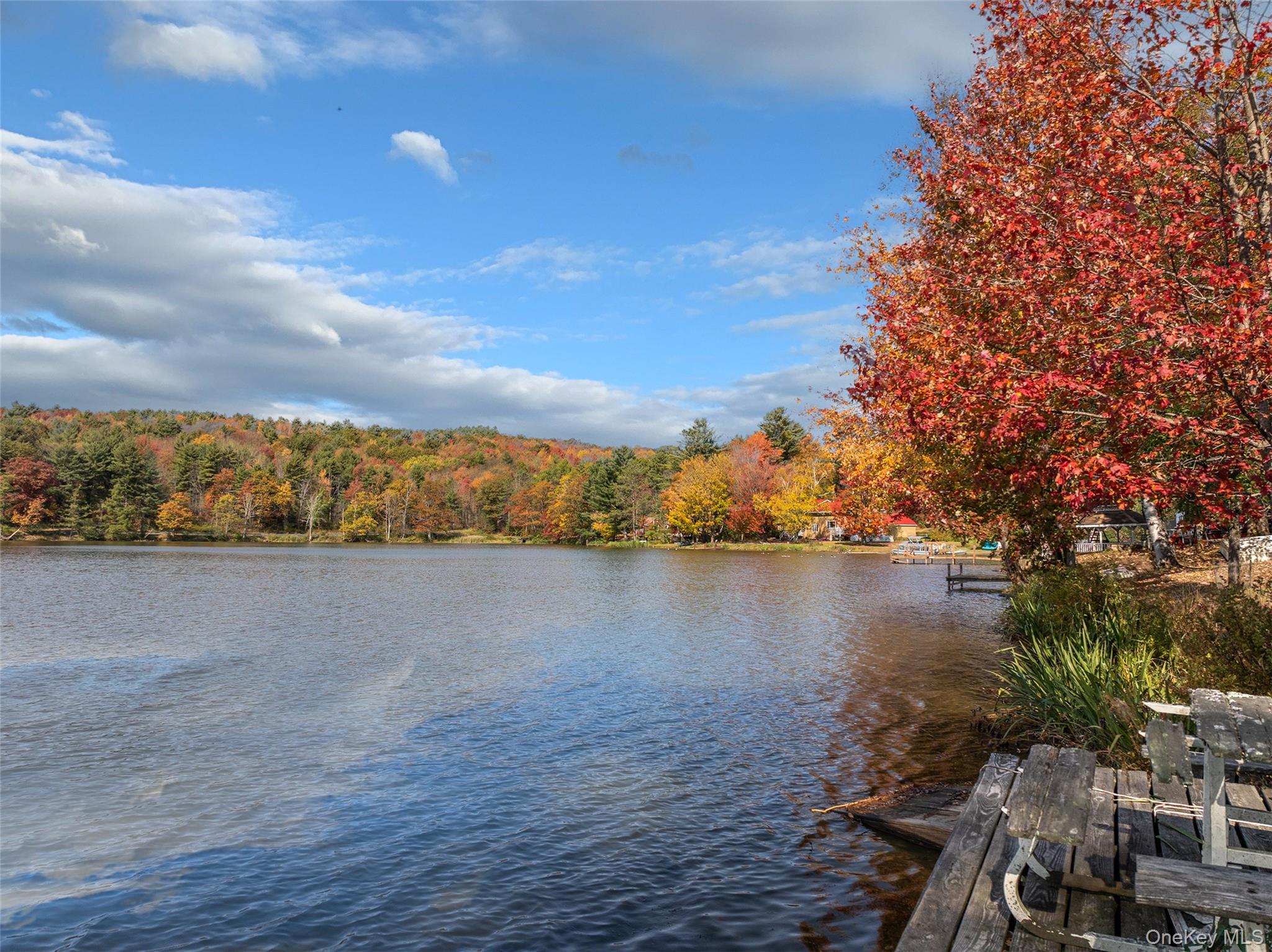 0 Masonville Pond Cummings Road, Call Listing Agent, NY