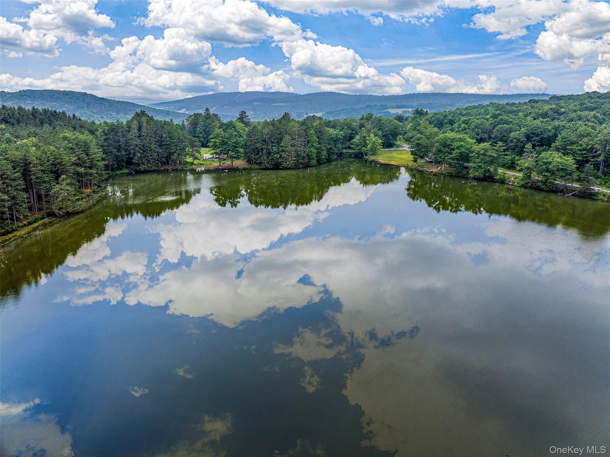 0 Masonville Pond Cummings Road, Call Listing Agent, NY