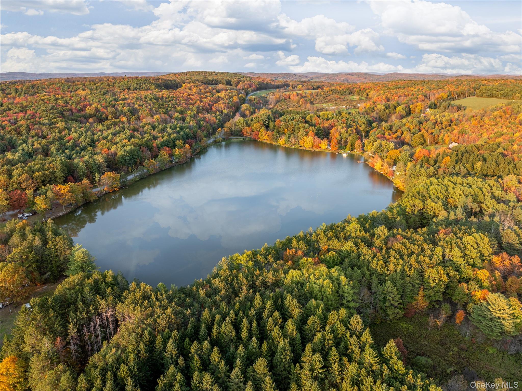 0 Masonville Pond Cummings Road, Call Listing Agent, NY