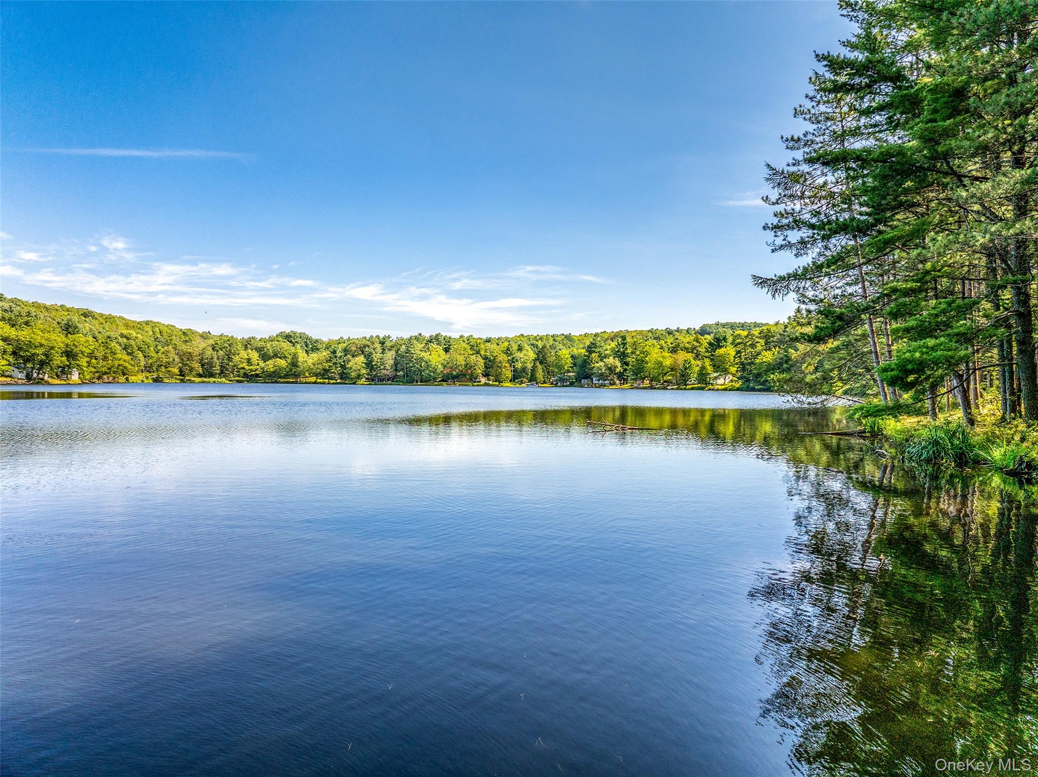 0 Masonville Pond Cummings Road, Call Listing Agent, NY