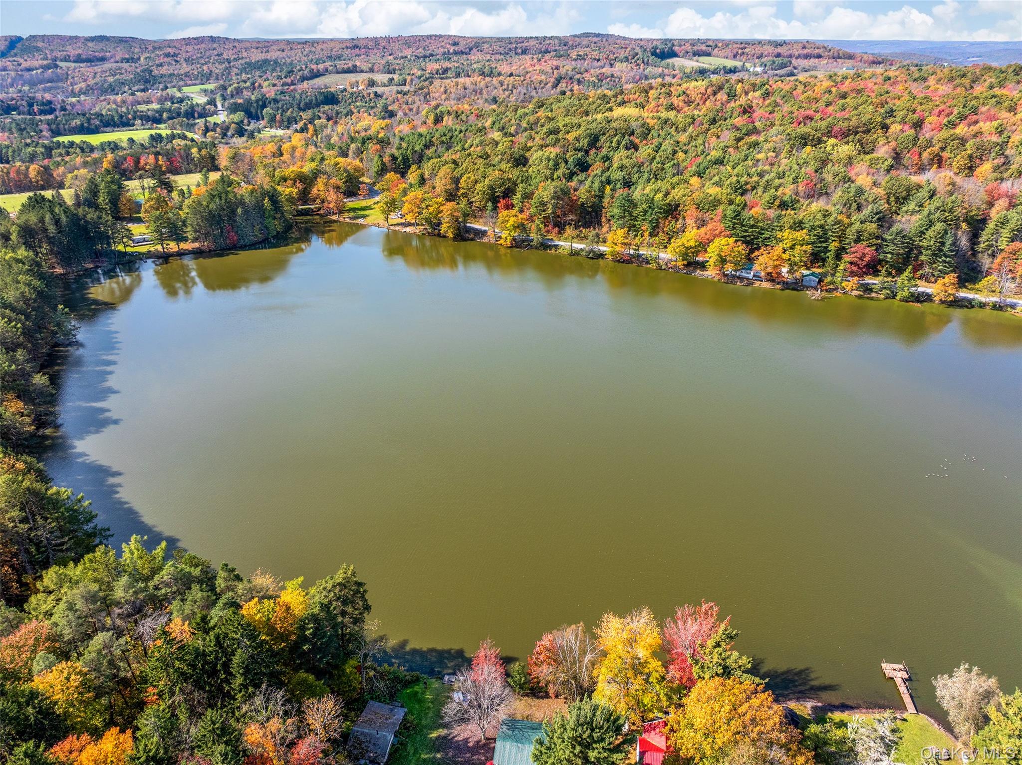 0 Masonville Pond Cummings Road, Call Listing Agent, NY