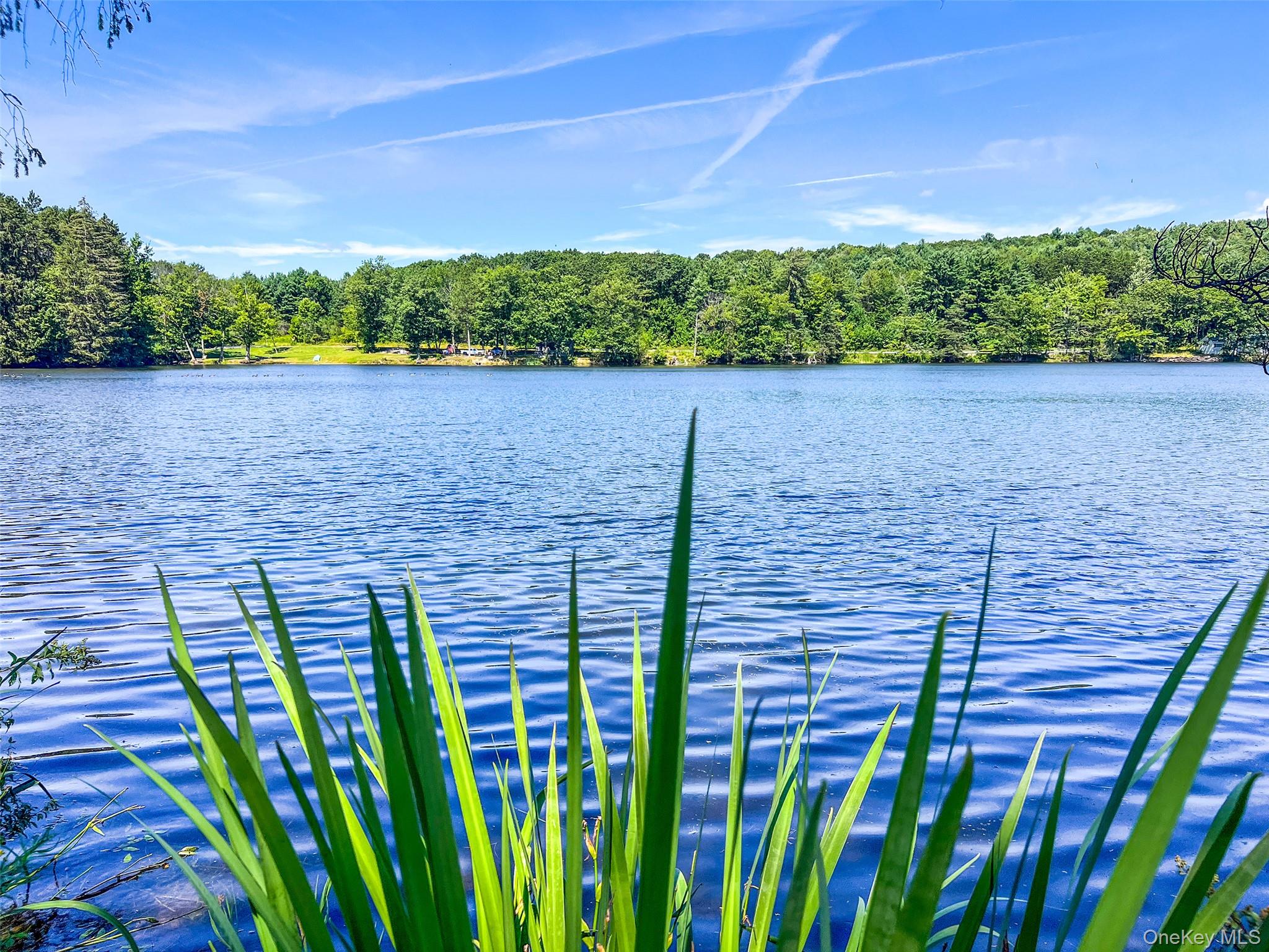 0 Masonville Pond Cummings Road, Call Listing Agent, NY